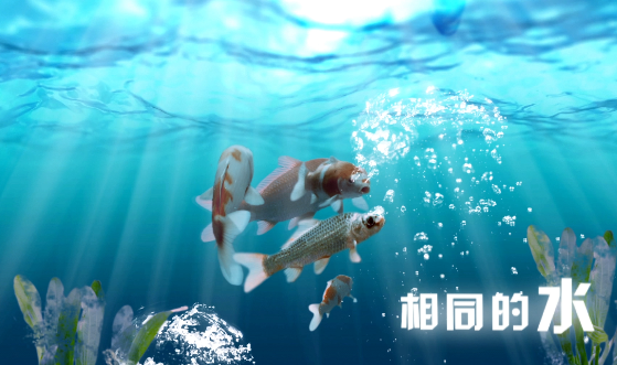 澳门新葡京