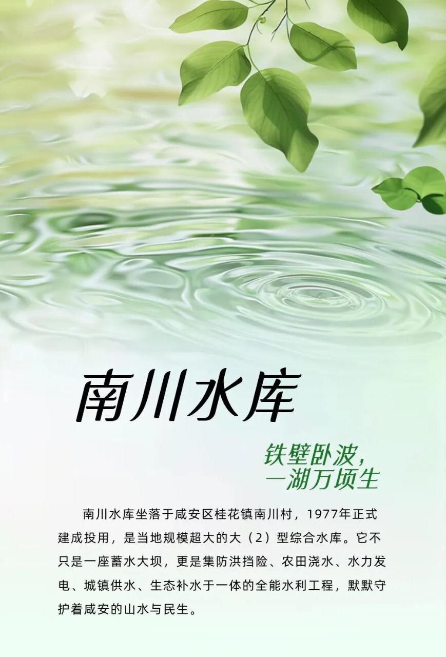 澳门新葡京