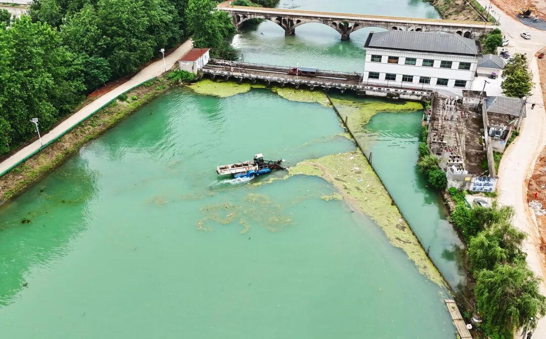澳门新葡京