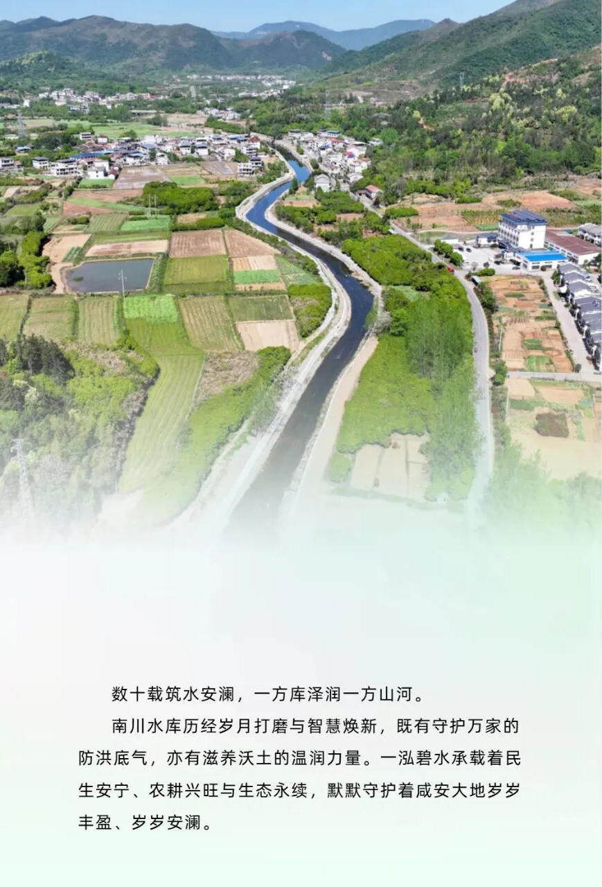 澳门新葡京