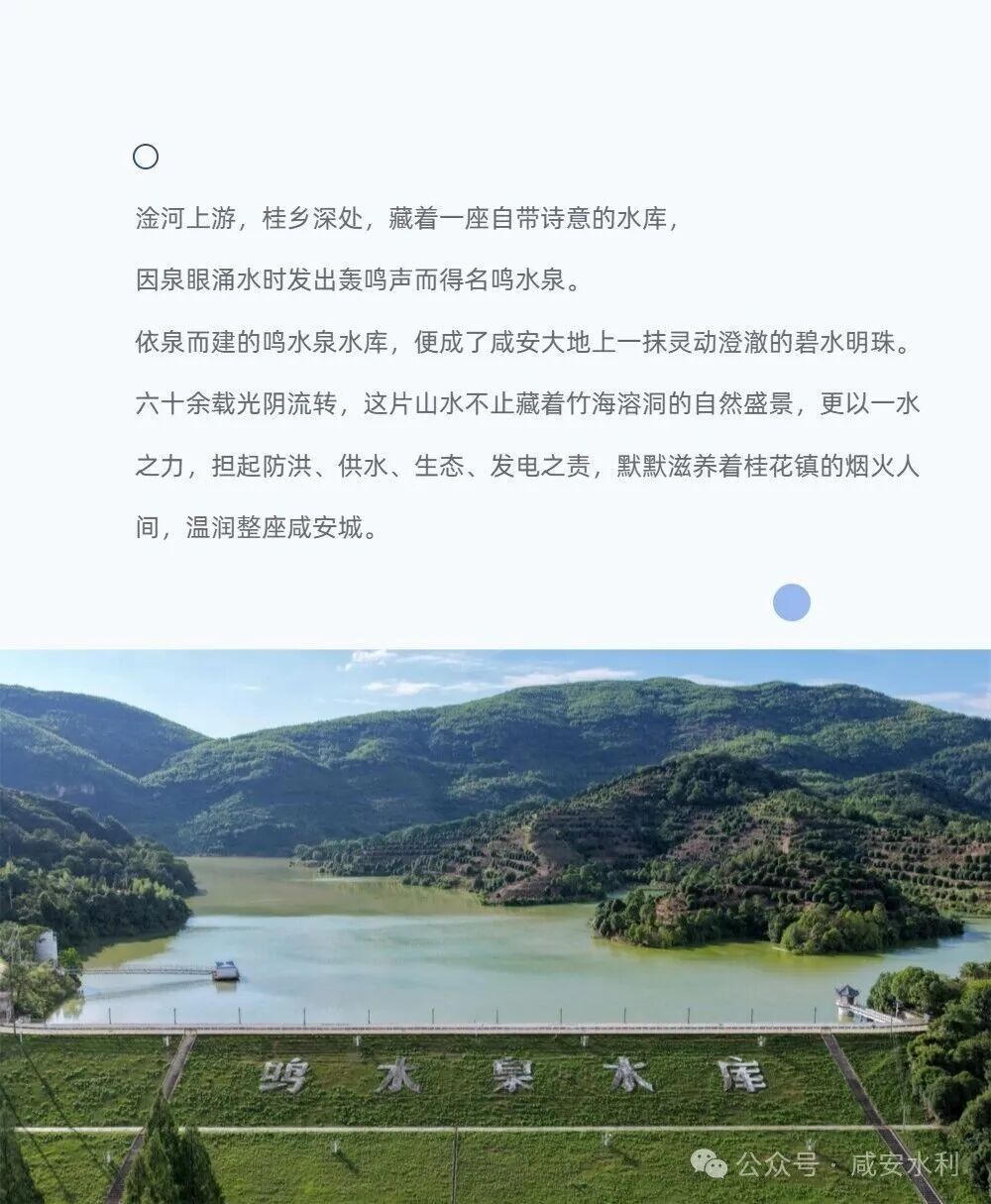 澳门新葡京