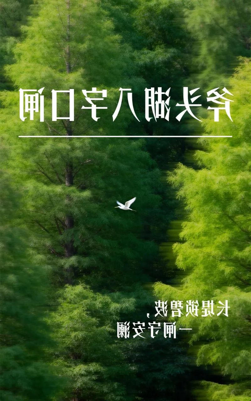 澳门新葡京