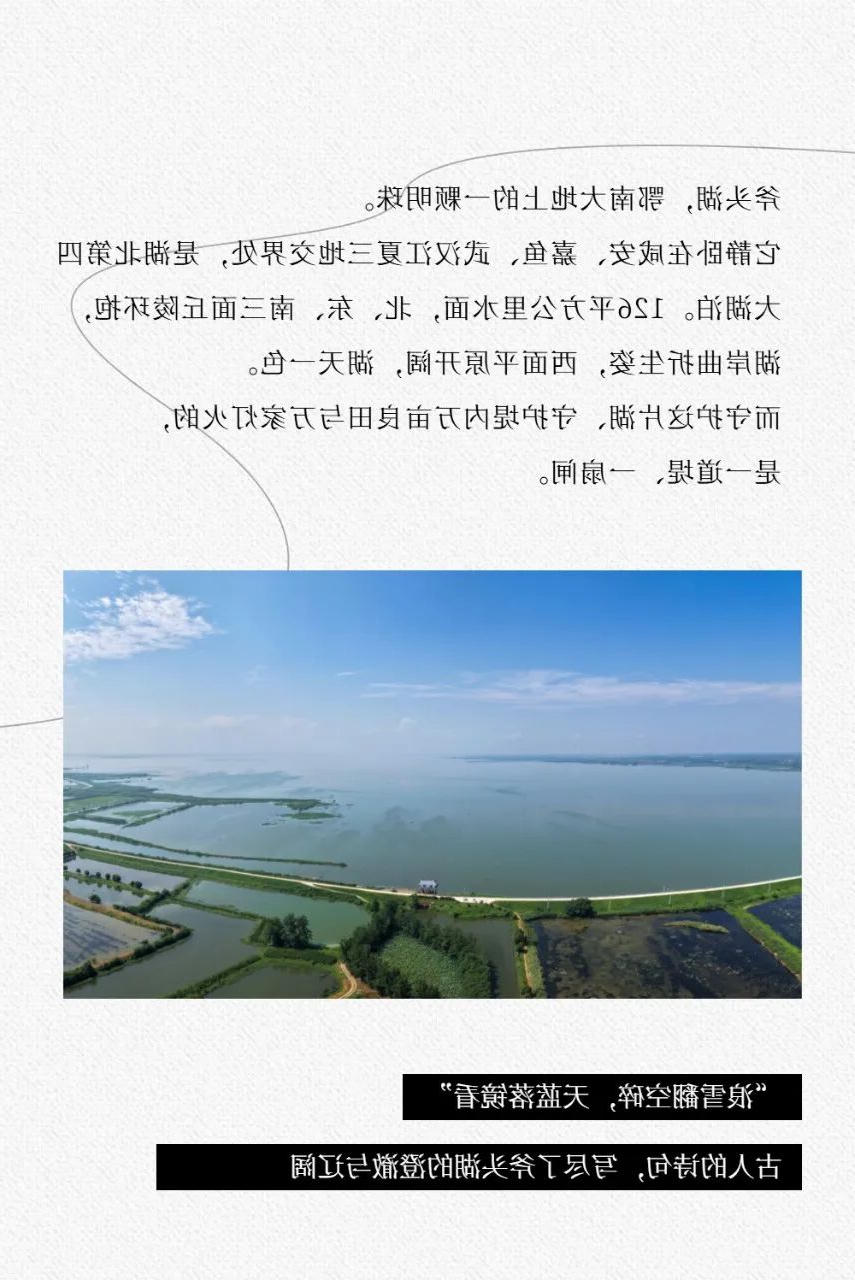 澳门新葡京