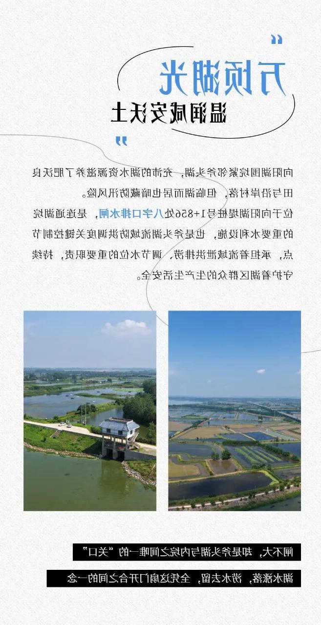 澳门新葡京