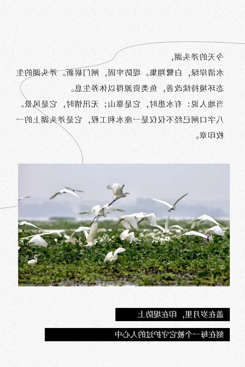 澳门新葡京