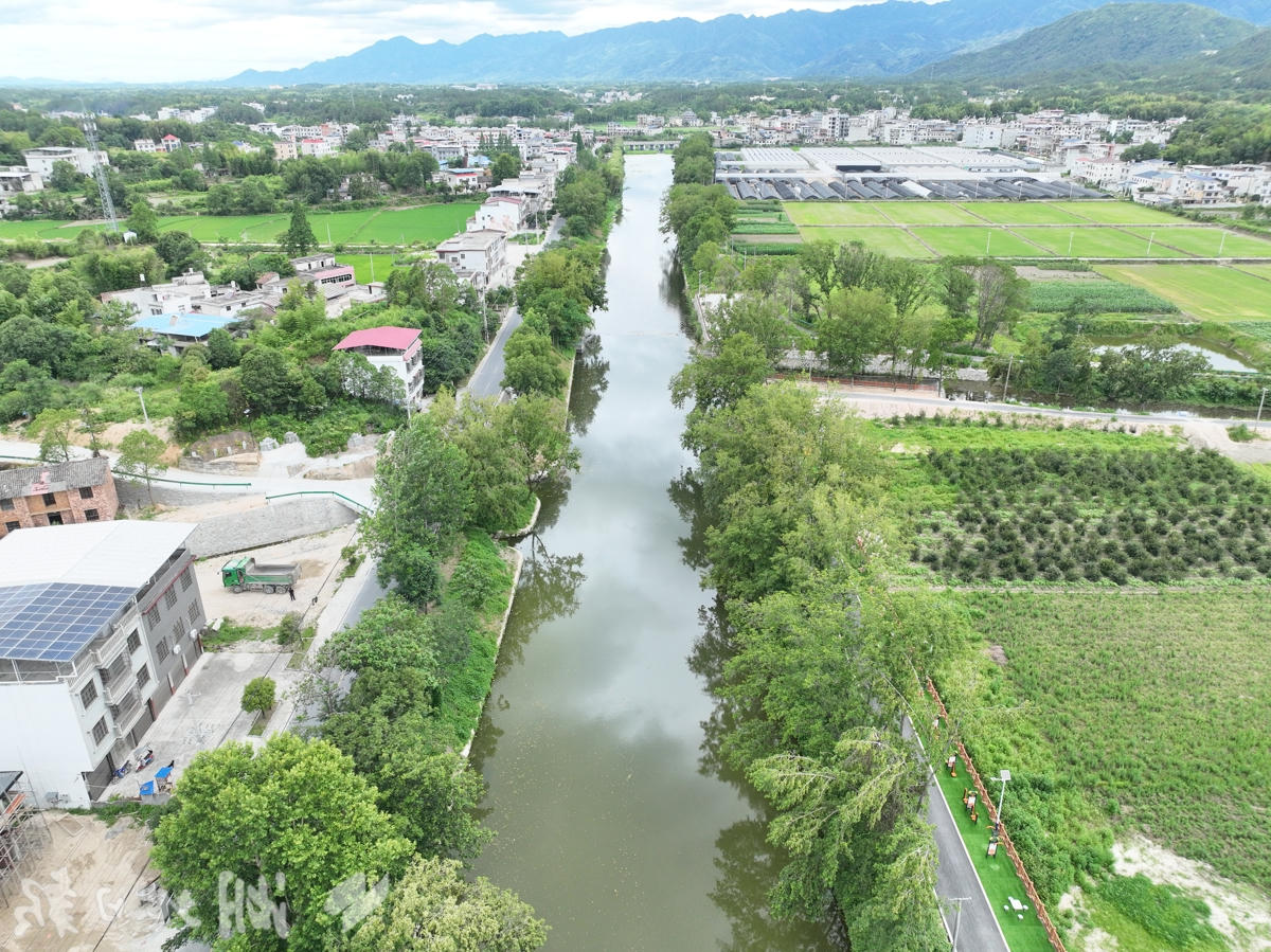 澳门新葡京