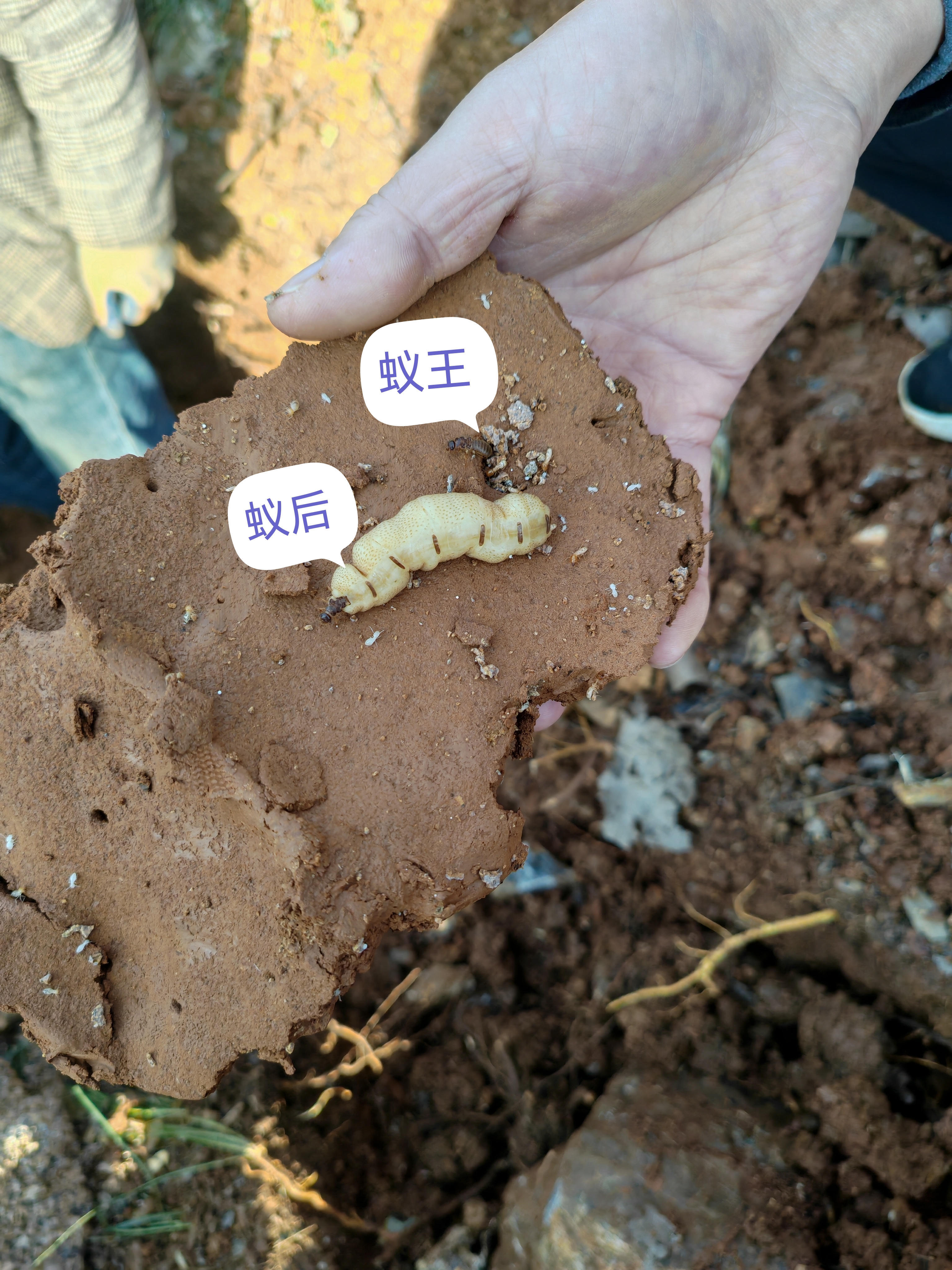 [G0FT1AIBXI0}CGLFI%7U{T.jpg 澳门新葡京
